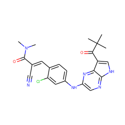 CN(C)C(=O)/C(C#N)=C/c1ccc(Nc2cnc3[nH]cc(C(=O)C(C)(C)C)c3n2)cc1Cl ZINC000148947758