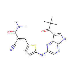 CN(C)C(=O)/C(C#N)=C/c1ccc(Nc2cnc3[nH]cc(C(=O)C(C)(C)C)c3n2)s1 ZINC000148919503