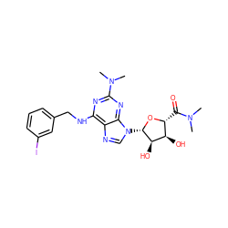 CN(C)C(=O)[C@H]1O[C@@H](n2cnc3c(NCc4cccc(I)c4)nc(N(C)C)nc32)[C@H](O)[C@@H]1O ZINC000028568661