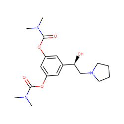 CN(C)C(=O)Oc1cc(OC(=O)N(C)C)cc([C@@H](O)CN2CCCC2)c1 ZINC001772600067