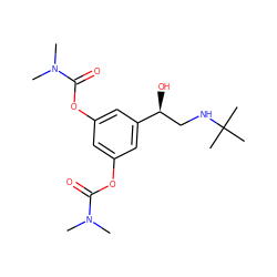 CN(C)C(=O)Oc1cc(OC(=O)N(C)C)cc([C@@H](O)CNC(C)(C)C)c1 ZINC000000597556