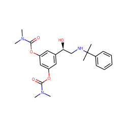 CN(C)C(=O)Oc1cc(OC(=O)N(C)C)cc([C@@H](O)CNC(C)(C)c2ccccc2)c1 ZINC001772619682