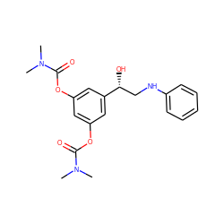 CN(C)C(=O)Oc1cc(OC(=O)N(C)C)cc([C@H](O)CNc2ccccc2)c1 ZINC001772654079