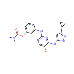 CN(C)C(=O)Oc1cccc(Nc2ncc(Br)c(Nc3cc(C4CC4)n[nH]3)n2)c1 ZINC000034643130