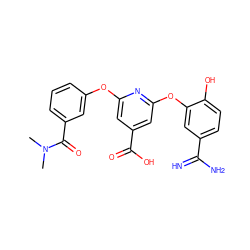 CN(C)C(=O)c1cccc(Oc2cc(C(=O)O)cc(Oc3cc(C(=N)N)ccc3O)n2)c1 ZINC000013474065