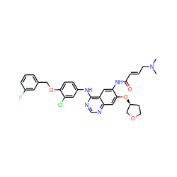 CN(C)C/C=C/C(=O)Nc1cc2c(Nc3ccc(OCc4cccc(F)c4)c(Cl)c3)ncnc2cc1O[C@H]1CCOC1 ZINC000118341839