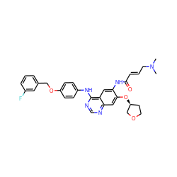 CN(C)C/C=C/C(=O)Nc1cc2c(Nc3ccc(OCc4cccc(F)c4)cc3)ncnc2cc1O[C@H]1CCOC1 ZINC000473119488