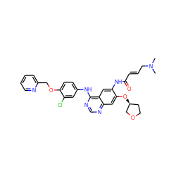 CN(C)C/C=C/C(=O)Nc1cc2c(Nc3ccc(OCc4ccccn4)c(Cl)c3)ncnc2cc1O[C@H]1CCOC1 ZINC000203755314