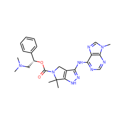 CN(C)C[C@@H](OC(=O)N1Cc2c(Nc3ncnc4c3ncn4C)n[nH]c2C1(C)C)c1ccccc1 ZINC000117598665