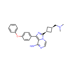 CN(C)C[C@H]1C[C@@H](c2nc(-c3ccc(Oc4ccccc4)cc3)c3c(N)nccn32)C1 ZINC000100619006