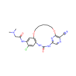 CN(C)CC(=O)Nc1cc2c(cc1Cl)NC(=O)Nc1cnc(C#N)c(n1)OCCCCCO2 ZINC000014958301