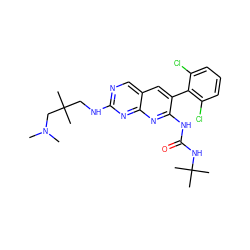 CN(C)CC(C)(C)CNc1ncc2cc(-c3c(Cl)cccc3Cl)c(NC(=O)NC(C)(C)C)nc2n1 ZINC000013862916