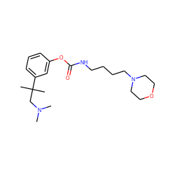 CN(C)CC(C)(C)c1cccc(OC(=O)NCCCCN2CCOCC2)c1 ZINC000003951304