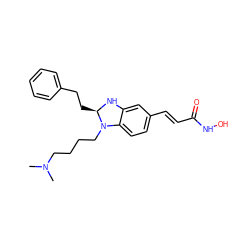 CN(C)CCCCN1c2ccc(/C=C/C(=O)NO)cc2N[C@@H]1CCc1ccccc1 ZINC000169684415