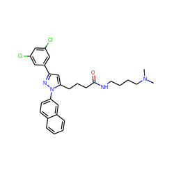 CN(C)CCCCNC(=O)CCCc1cc(-c2cc(Cl)cc(Cl)c2)nn1-c1ccc2ccccc2c1 ZINC000028887187