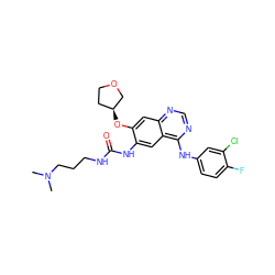 CN(C)CCCNC(=O)Nc1cc2c(Nc3ccc(F)c(Cl)c3)ncnc2cc1O[C@H]1CCOC1 ZINC000103253626