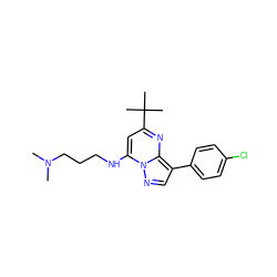 CN(C)CCCNc1cc(C(C)(C)C)nc2c(-c3ccc(Cl)cc3)cnn12 ZINC000002438956