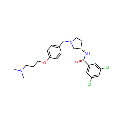 CN(C)CCCOc1ccc(CN2CC[C@H](NC(=O)c3cc(Cl)cc(Cl)c3)C2)cc1 ZINC000028472484