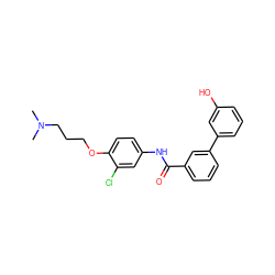 CN(C)CCCOc1ccc(NC(=O)c2cccc(-c3cccc(O)c3)c2)cc1Cl ZINC000299855318