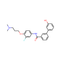 CN(C)CCCOc1ccc(NC(=O)c2cccc(-c3cccc(O)c3)c2)cc1F ZINC000299854689