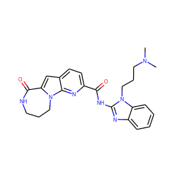 CN(C)CCCn1c(NC(=O)c2ccc3cc4n(c3n2)CCCNC4=O)nc2ccccc21 ZINC000147091378