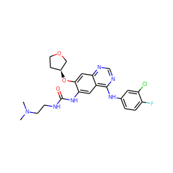 CN(C)CCNC(=O)Nc1cc2c(Nc3ccc(F)c(Cl)c3)ncnc2cc1O[C@H]1CCOC1 ZINC000103253599