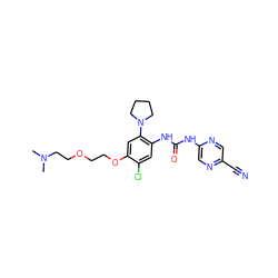 CN(C)CCOCCOc1cc(N2CCCC2)c(NC(=O)Nc2cnc(C#N)cn2)cc1Cl ZINC000014956162