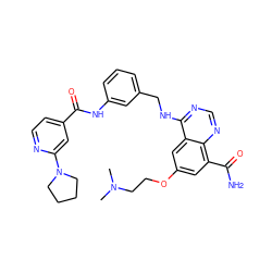 CN(C)CCOc1cc(C(N)=O)c2ncnc(NCc3cccc(NC(=O)c4ccnc(N5CCCC5)c4)c3)c2c1 ZINC000168191493