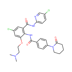 CN(C)CCOc1cc(Cl)cc(C(=O)Nc2ccc(Cl)cn2)c1NC(=O)c1ccc(N2CCCCC2=O)cc1 ZINC000029048276