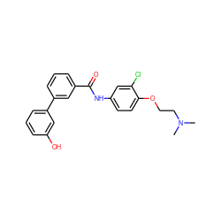 CN(C)CCOc1ccc(NC(=O)c2cccc(-c3cccc(O)c3)c2)cc1Cl ZINC000299856497