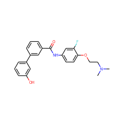 CN(C)CCOc1ccc(NC(=O)c2cccc(-c3cccc(O)c3)c2)cc1F ZINC000299856885