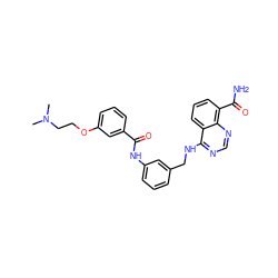 CN(C)CCOc1cccc(C(=O)Nc2cccc(CNc3ncnc4c(C(N)=O)cccc34)c2)c1 ZINC000114346232