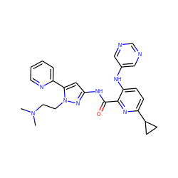 CN(C)CCn1nc(NC(=O)c2nc(C3CC3)ccc2Nc2cncnc2)cc1-c1ccccn1 ZINC000096167411