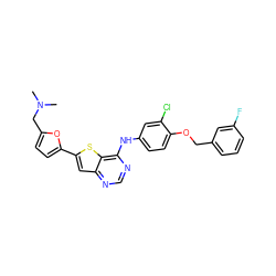 CN(C)Cc1ccc(-c2cc3ncnc(Nc4ccc(OCc5cccc(F)c5)c(Cl)c4)c3s2)o1 ZINC000040404749