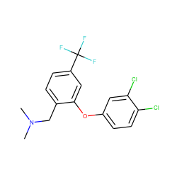 CN(C)Cc1ccc(C(F)(F)F)cc1Oc1ccc(Cl)c(Cl)c1 ZINC000034044455