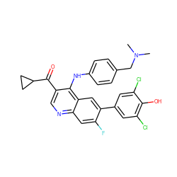 CN(C)Cc1ccc(Nc2c(C(=O)C3CC3)cnc3cc(F)c(-c4cc(Cl)c(O)c(Cl)c4)cc23)cc1 ZINC000114035284