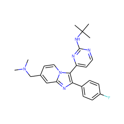 CN(C)Cc1ccn2c(-c3ccnc(NC(C)(C)C)n3)c(-c3ccc(F)cc3)nc2c1 ZINC000028822172