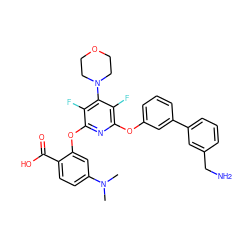 CN(C)c1ccc(C(=O)O)c(Oc2nc(Oc3cccc(-c4cccc(CN)c4)c3)c(F)c(N3CCOCC3)c2F)c1 ZINC000049694727