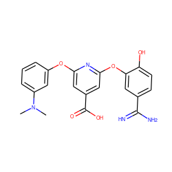 CN(C)c1cccc(Oc2cc(C(=O)O)cc(Oc3cc(C(=N)N)ccc3O)n2)c1 ZINC000013474066