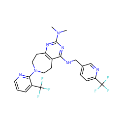 CN(C)c1nc2c(c(NCc3ccc(C(F)(F)F)nc3)n1)CCN(c1ncccc1C(F)(F)F)CC2 ZINC000200429338