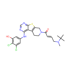 CN(C/C=C/C(=O)N1CCc2c(sc3ncnc(Nc4cc(O)c(Cl)c(Cl)c4)c23)C1)C(C)(C)C ZINC000043203720