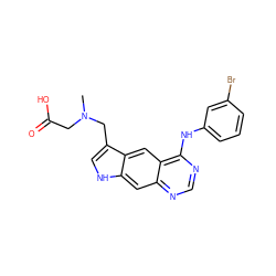 CN(CC(=O)O)Cc1c[nH]c2cc3ncnc(Nc4cccc(Br)c4)c3cc12 ZINC000003815067