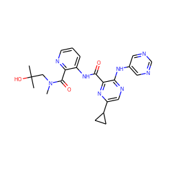 CN(CC(C)(C)O)C(=O)c1ncccc1NC(=O)c1nc(C2CC2)cnc1Nc1cncnc1 ZINC000169701748