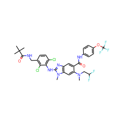 CN(CC(F)F)c1cc2c(cc1C(=O)Nc1ccc(OC(F)(F)F)cc1)nc(Nc1c(Cl)ccc(CNC(=O)C(C)(C)C)c1Cl)n2C ZINC000169701018