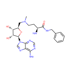 CN(CC[C@H](N)C(=O)NCc1ccccc1)C[C@H]1O[C@@H](n2cnc3c(N)ncnc32)[C@H](O)[C@@H]1O ZINC000073165336