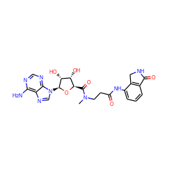 CN(CCC(=O)Nc1cccc2c1CNC2=O)C(=O)[C@H]1O[C@@H](n2cnc3c(N)ncnc32)[C@H](O)[C@@H]1O ZINC000013588319