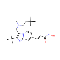 CN(CCC(C)(C)C)Cc1c(C(C)(C)C)nc2cc(/C=C/C(=O)NO)ccn12 ZINC000144346754