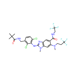 CN(CCC(F)(F)F)c1cc2c(cc1C(=O)NCC(F)(F)F)nc(Nc1c(Cl)ccc(CNC(=O)C(C)(C)C)c1Cl)n2C ZINC000169700900