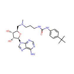 CN(CCCNC(=O)Nc1ccc(C(C)(C)C)cc1)C[C@H]1O[C@@H](n2cnc3c(N)ncnc32)[C@H](O)[C@@H]1O ZINC000087613174