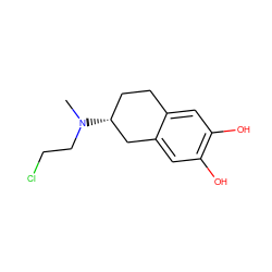 CN(CCCl)[C@@H]1CCc2cc(O)c(O)cc2C1 ZINC000029550738